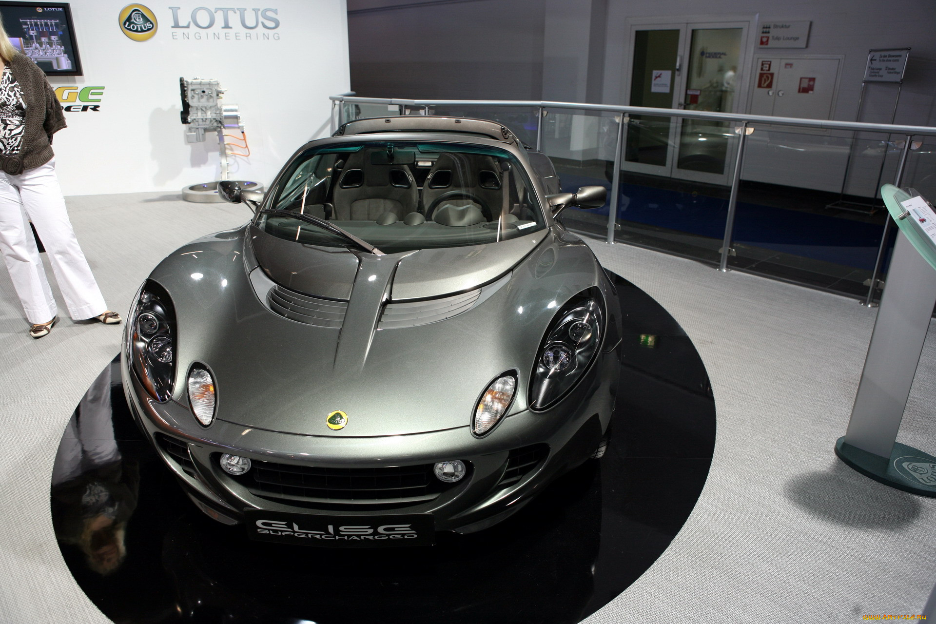 ,    , lotus